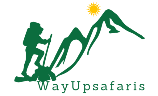 WayUpSafaris